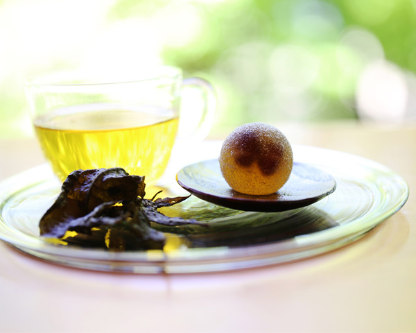 のんびりと育つお茶