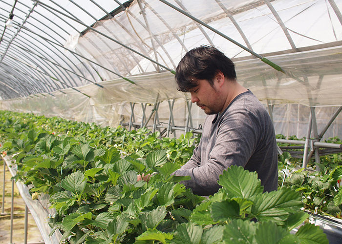 田村さん、ハウスでぱちり