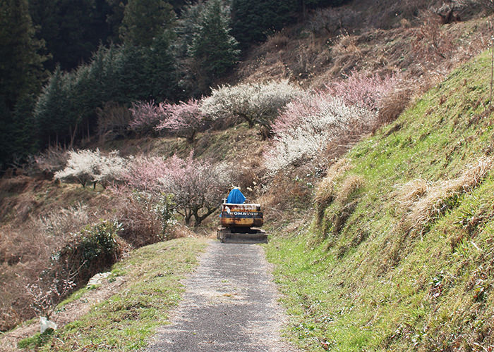 山里をのんびりと走る、作業車。