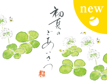 初夏の小箱　ゆうたま　丸わさん